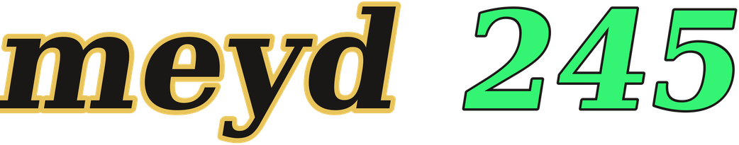 meyd 245 logo